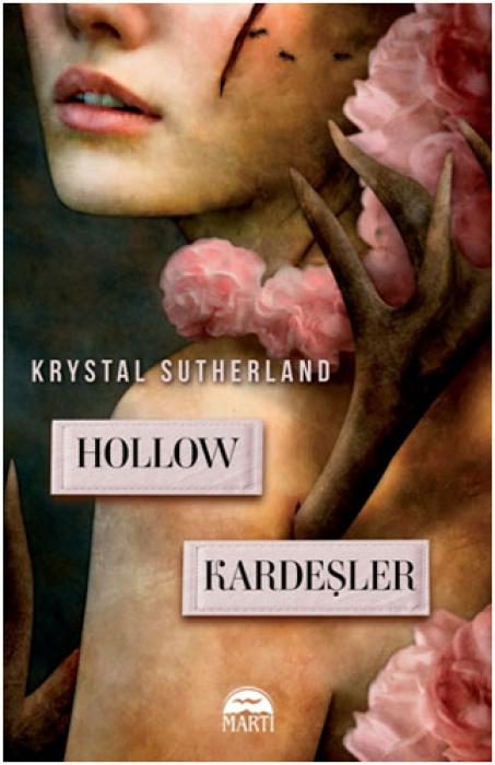 Vorderes Coverbild Hollow Kardesler