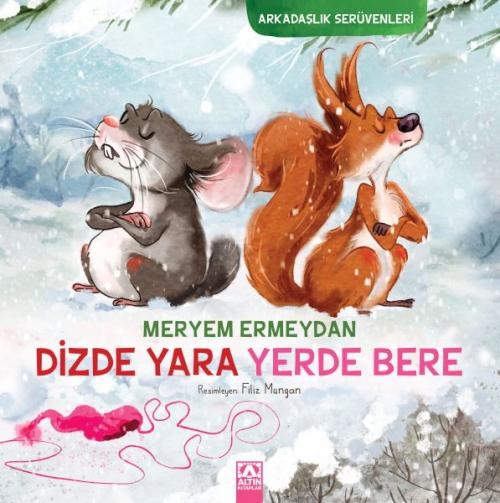 Vorderes Coverbild Dizde Yara Yerde Bere