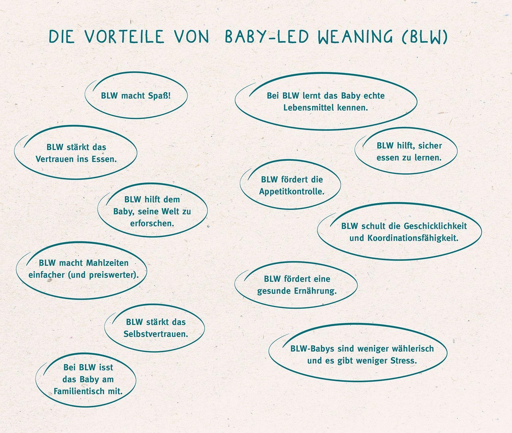 Beispielinhalt (Bild) Baby-led Weaning - Das Grundlagenbuch
