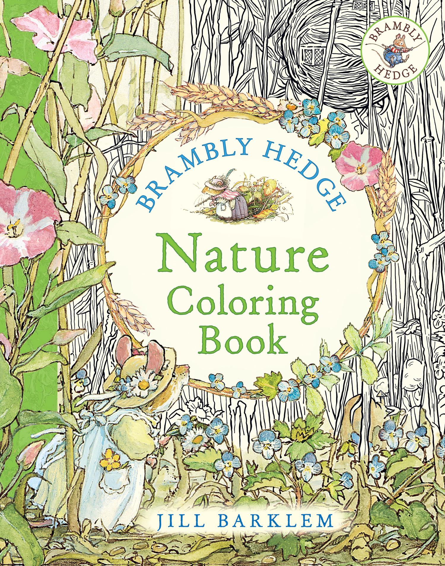 Vorderes Coverbild Brambly Hedge: Nature Coloring Book