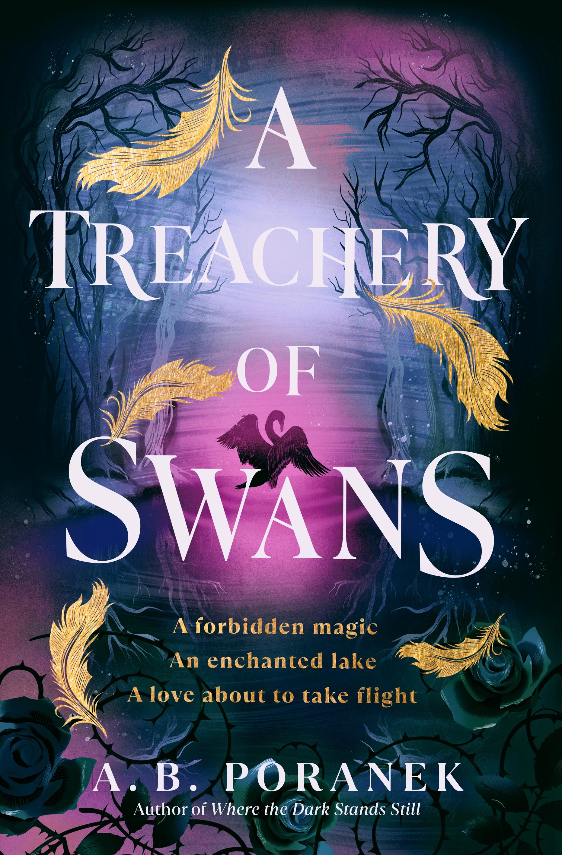 Vorderes Coverbild A Treachery of Swans