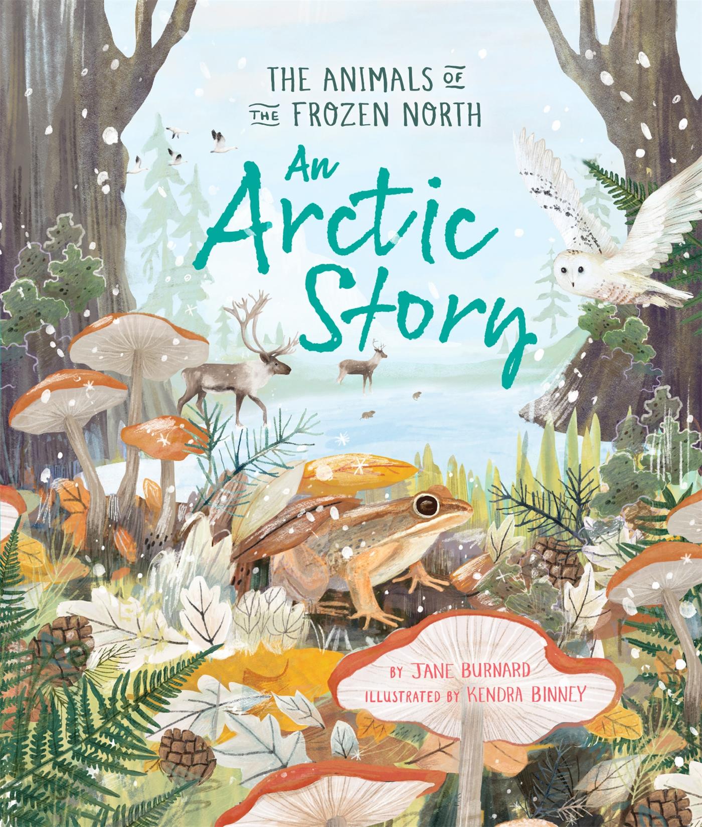 Vorderes Coverbild An Arctic Story