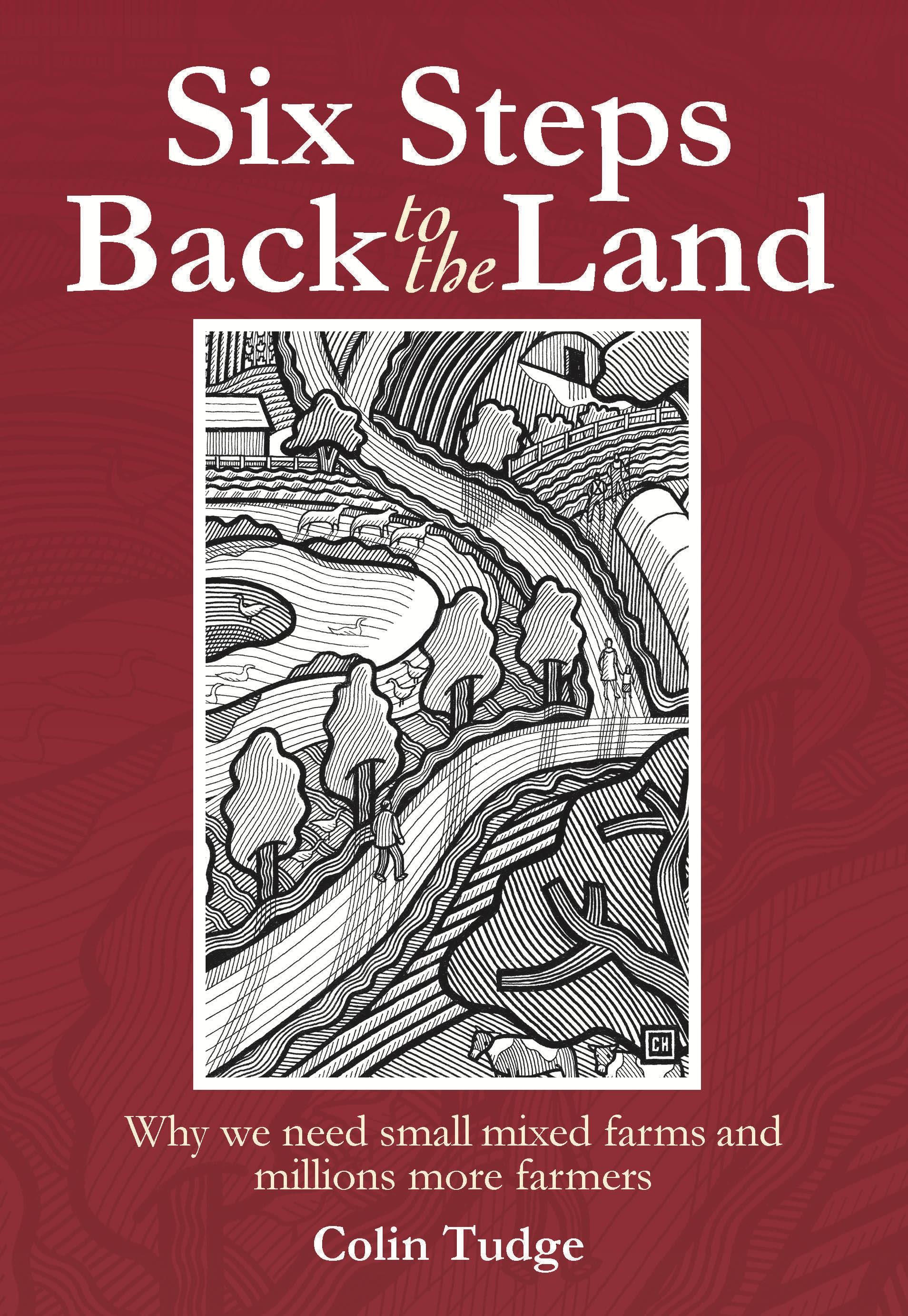 Vorderes Coverbild Six Steps Back to the Land