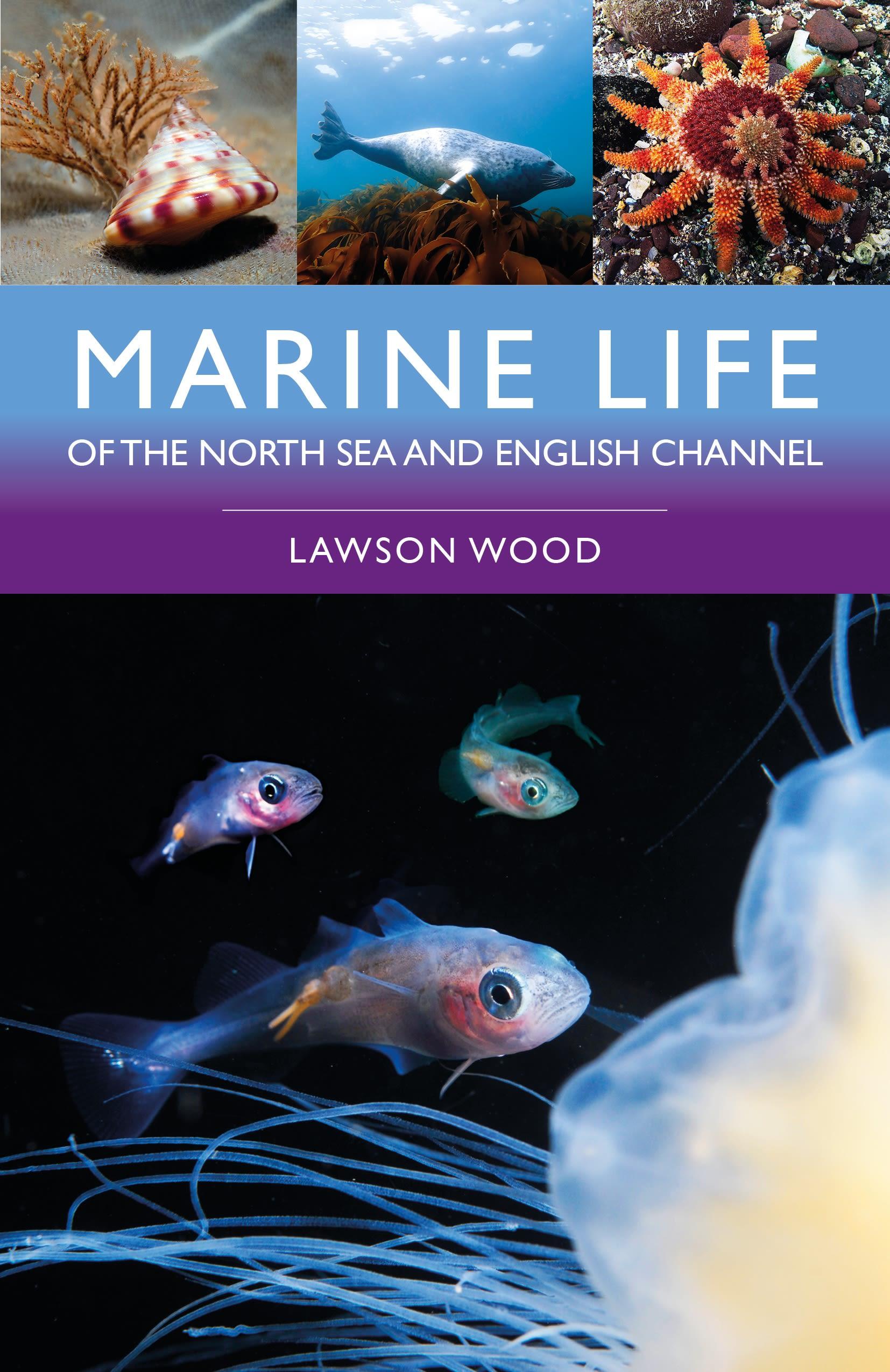 Vorderes Coverbild Marine Life of the North Sea and English Channel