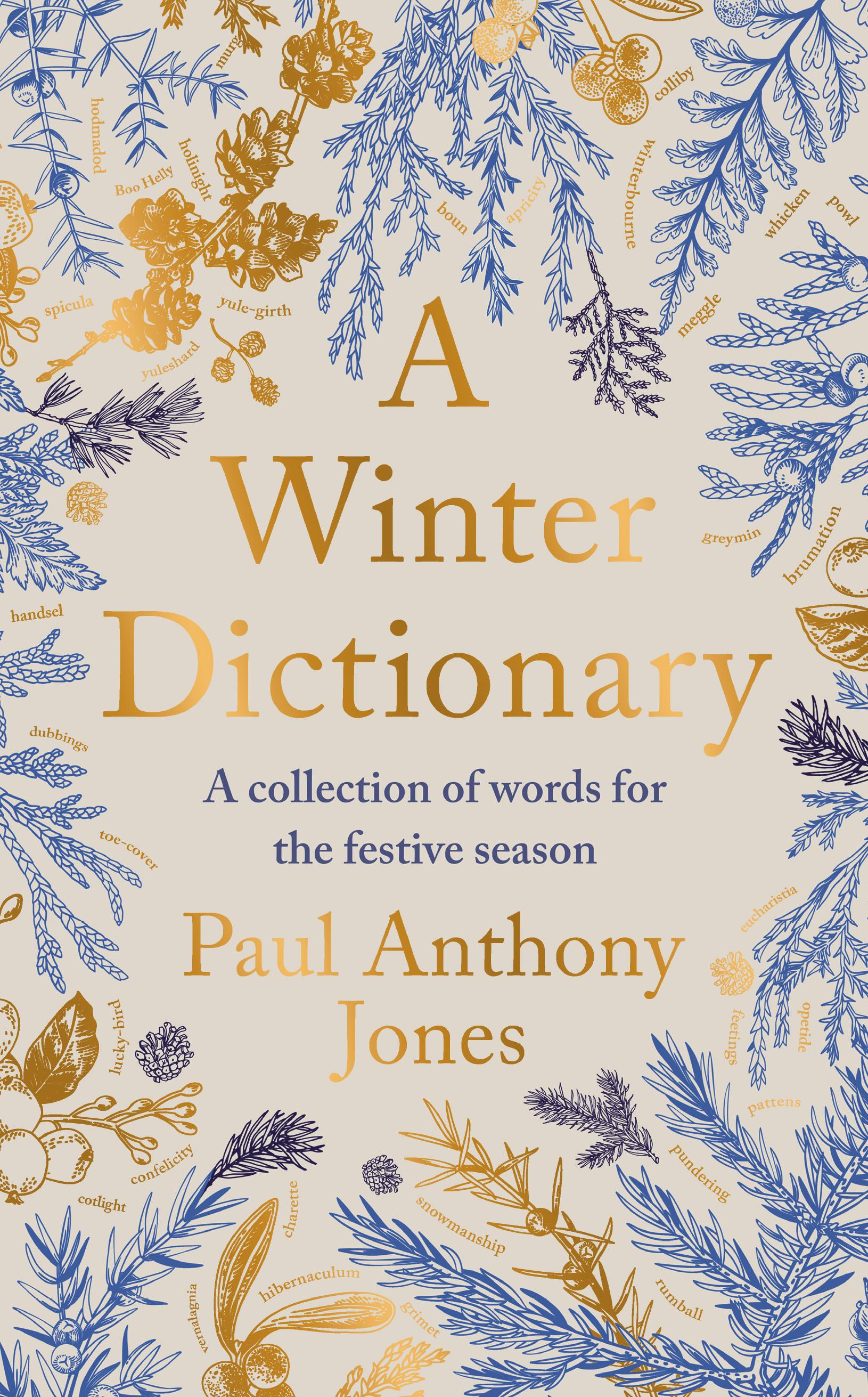 Vorderes Coverbild A Winter Dictionary