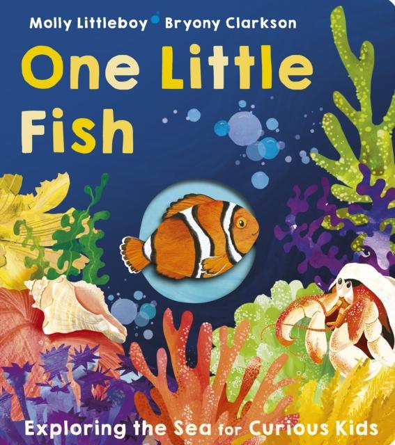 Vorderes Coverbild One Little Fish