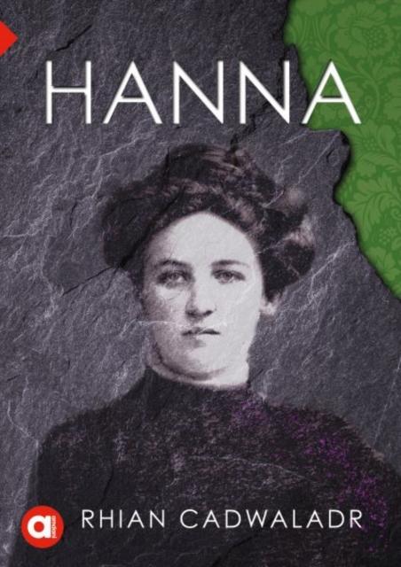 Vorderes Coverbild Cyfres Amdani: Hanna