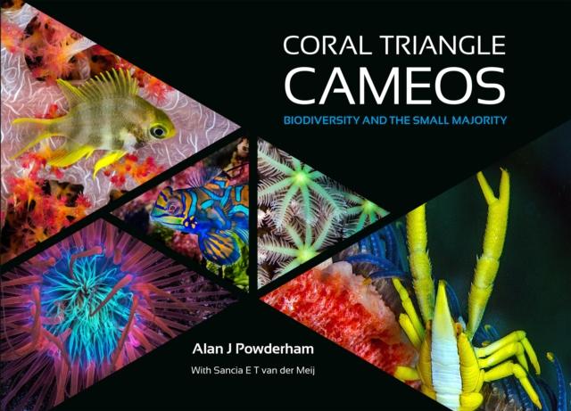Vorderes Coverbild Coral Triangle Cameos