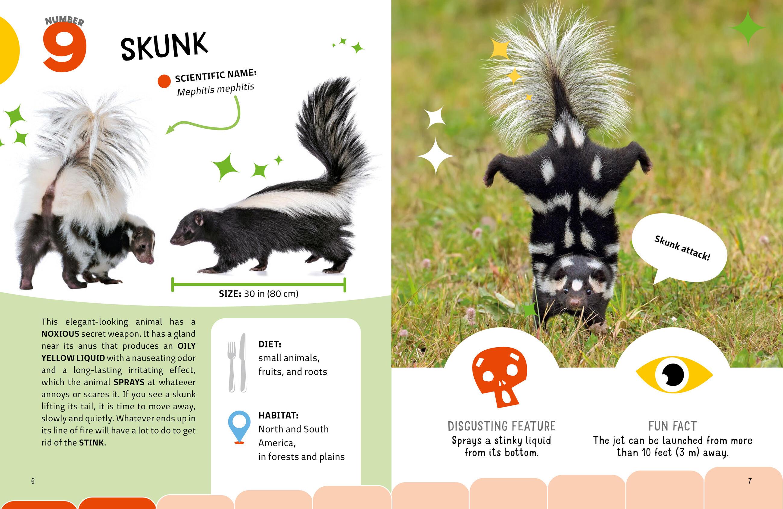 Beispielinhalt (Bild) Grossest Animals