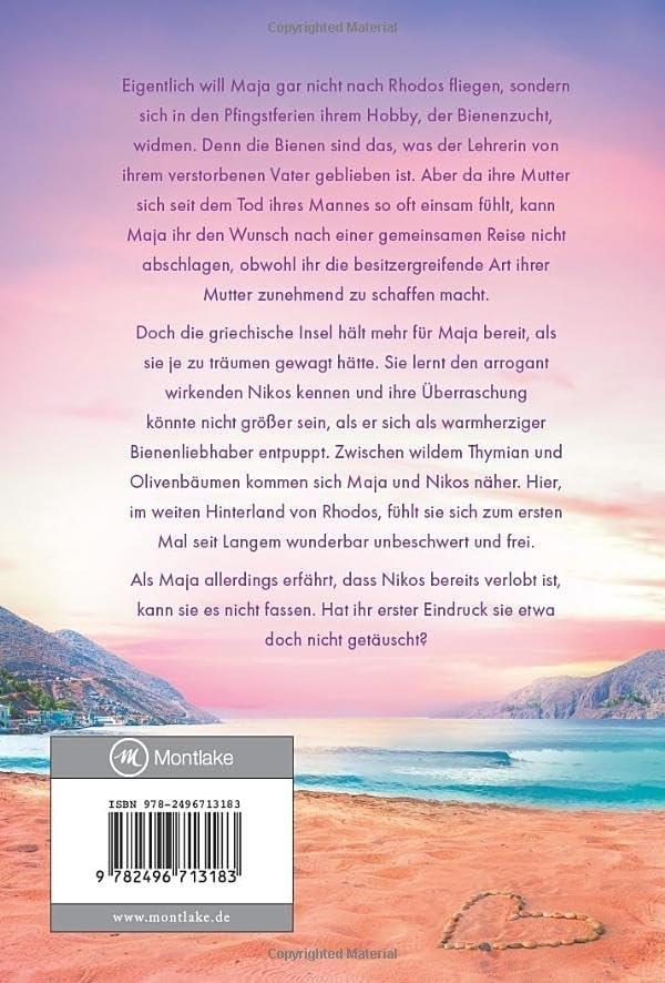 Rückseitencover Du, ich und das Rauschen der Wellen