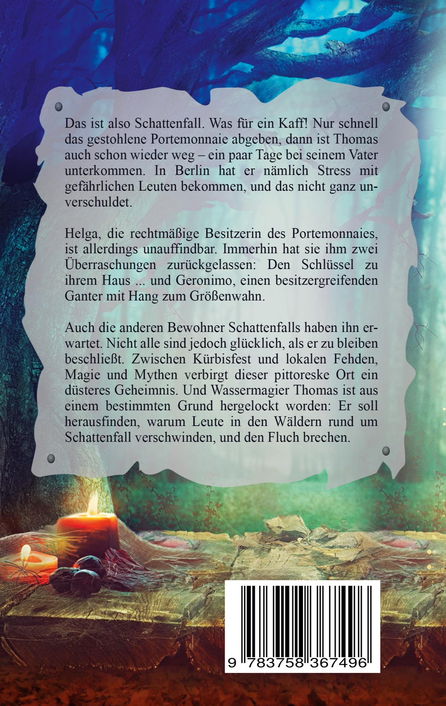 Rückseitencover Willkommen in Schattenfall