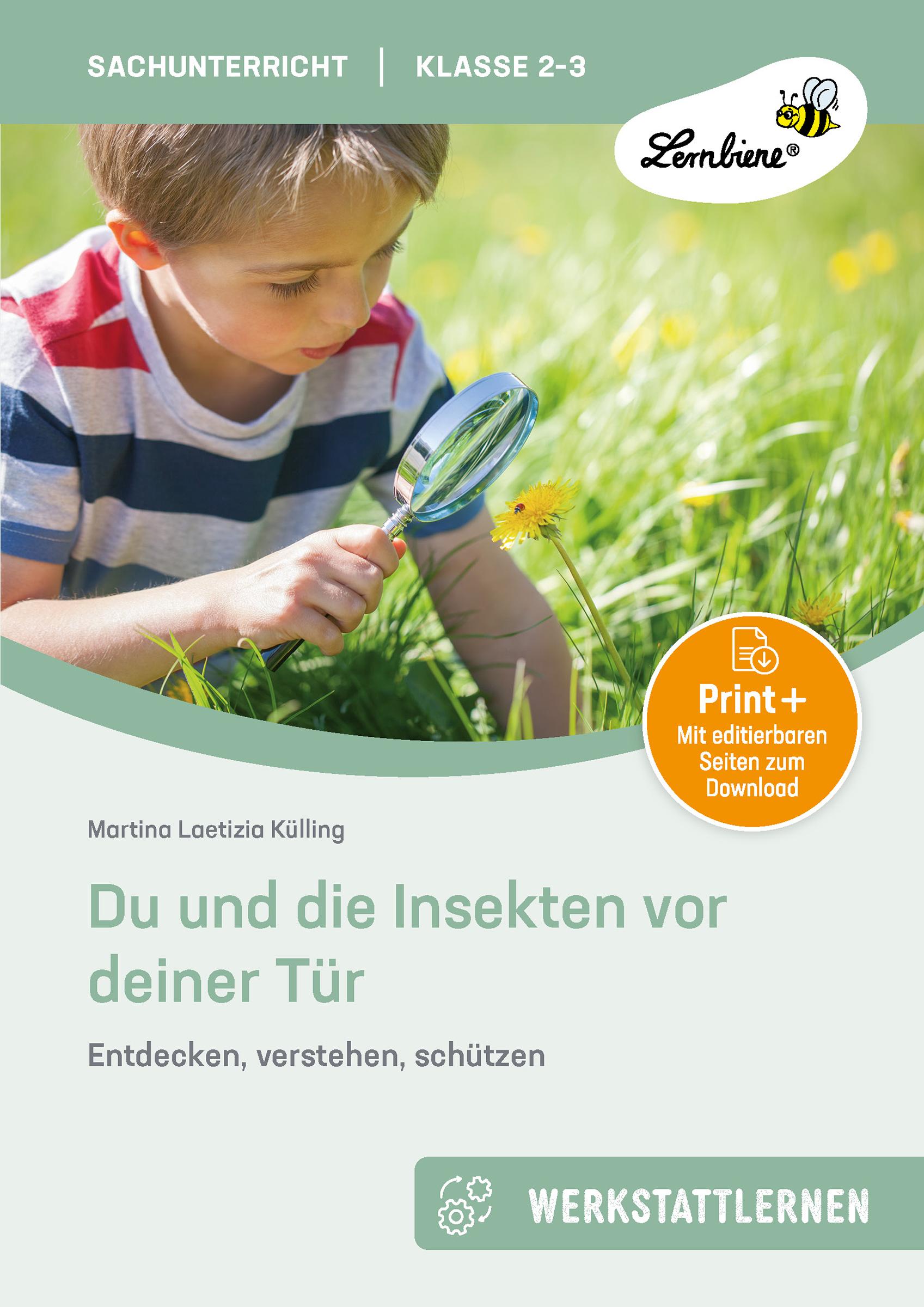 Vorderes Coverbild Du und die Insekten vor deiner Tür