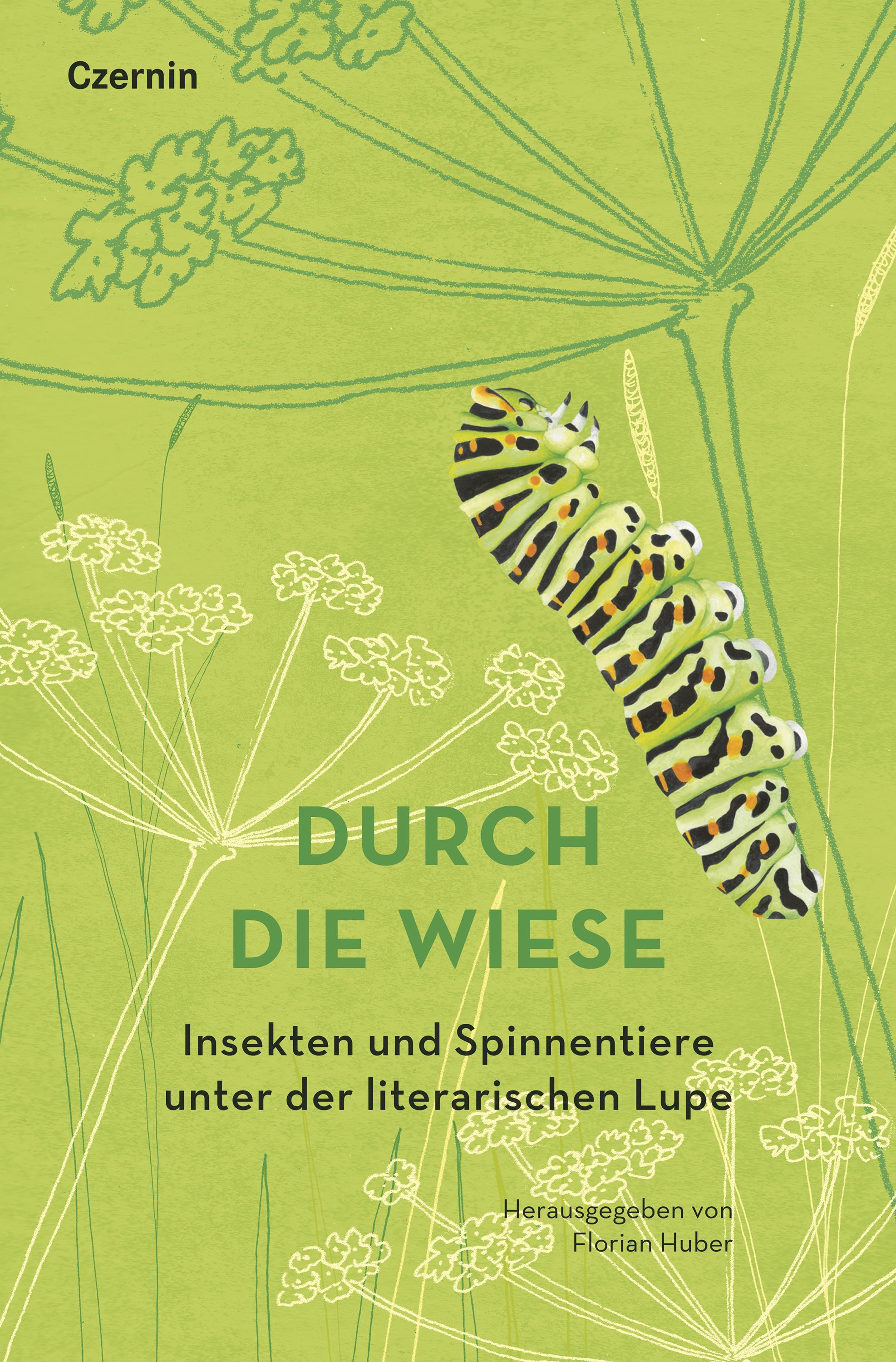 Vorderes Coverbild Durch die Wiese
