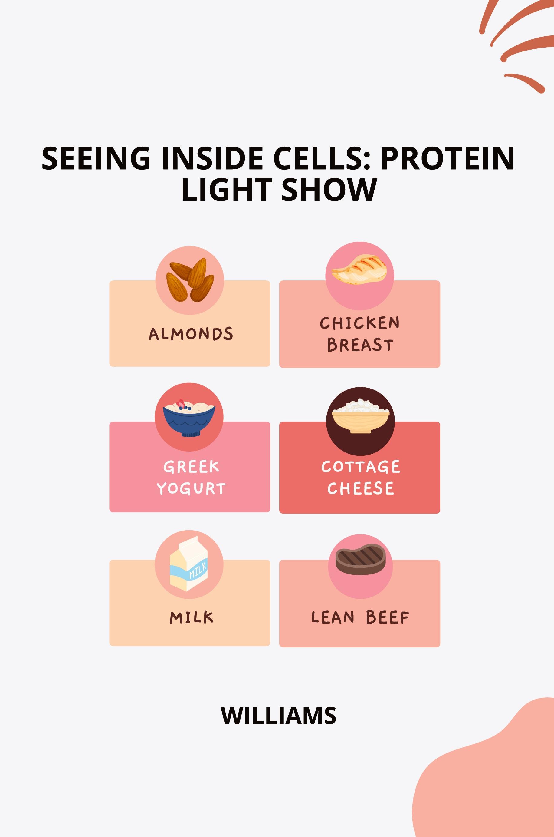 Vorderes Coverbild Seeing Inside Cells: Protein Light Show