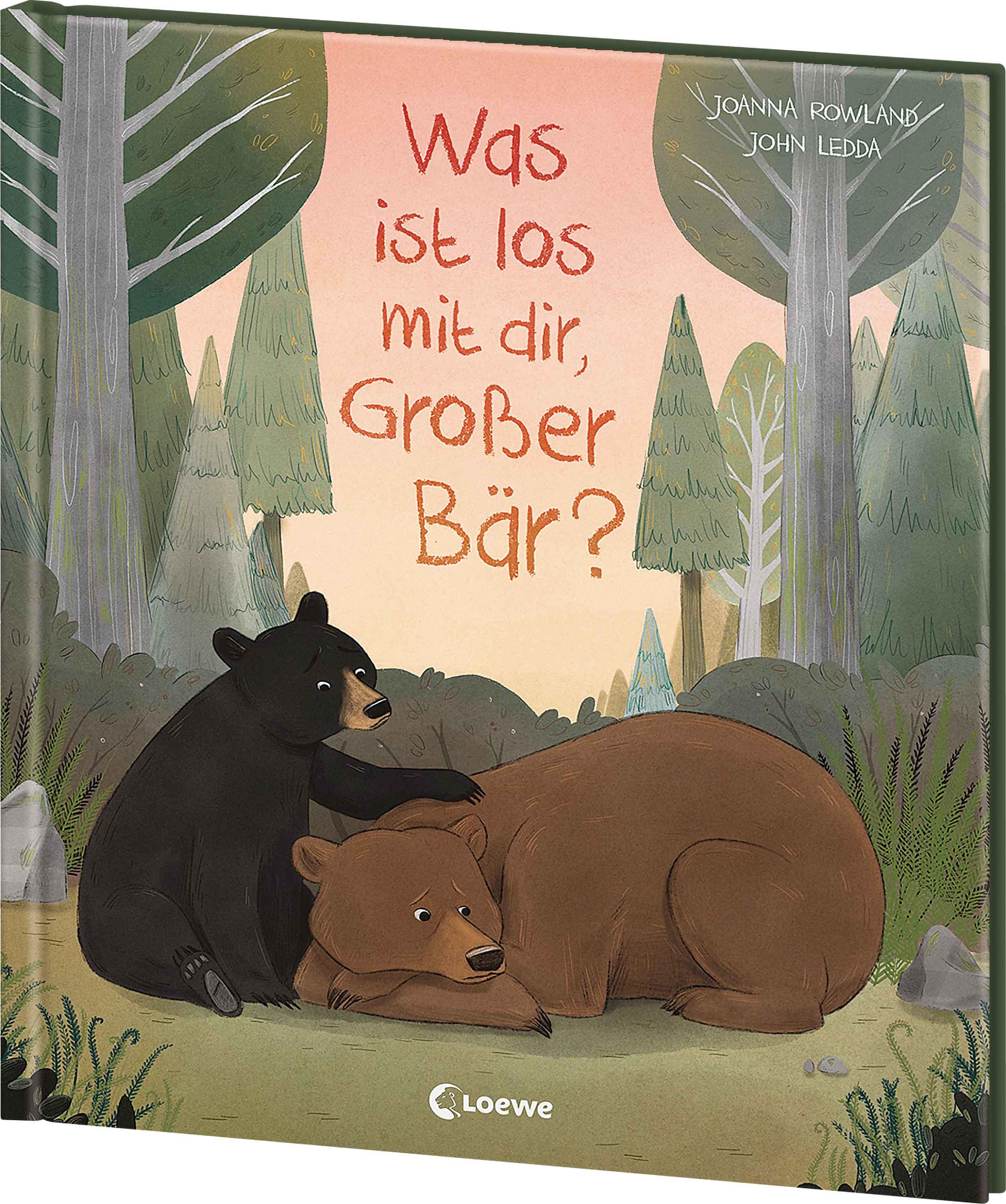 Vorderes Coverbild Was ist los mit dir, Großer Bär?