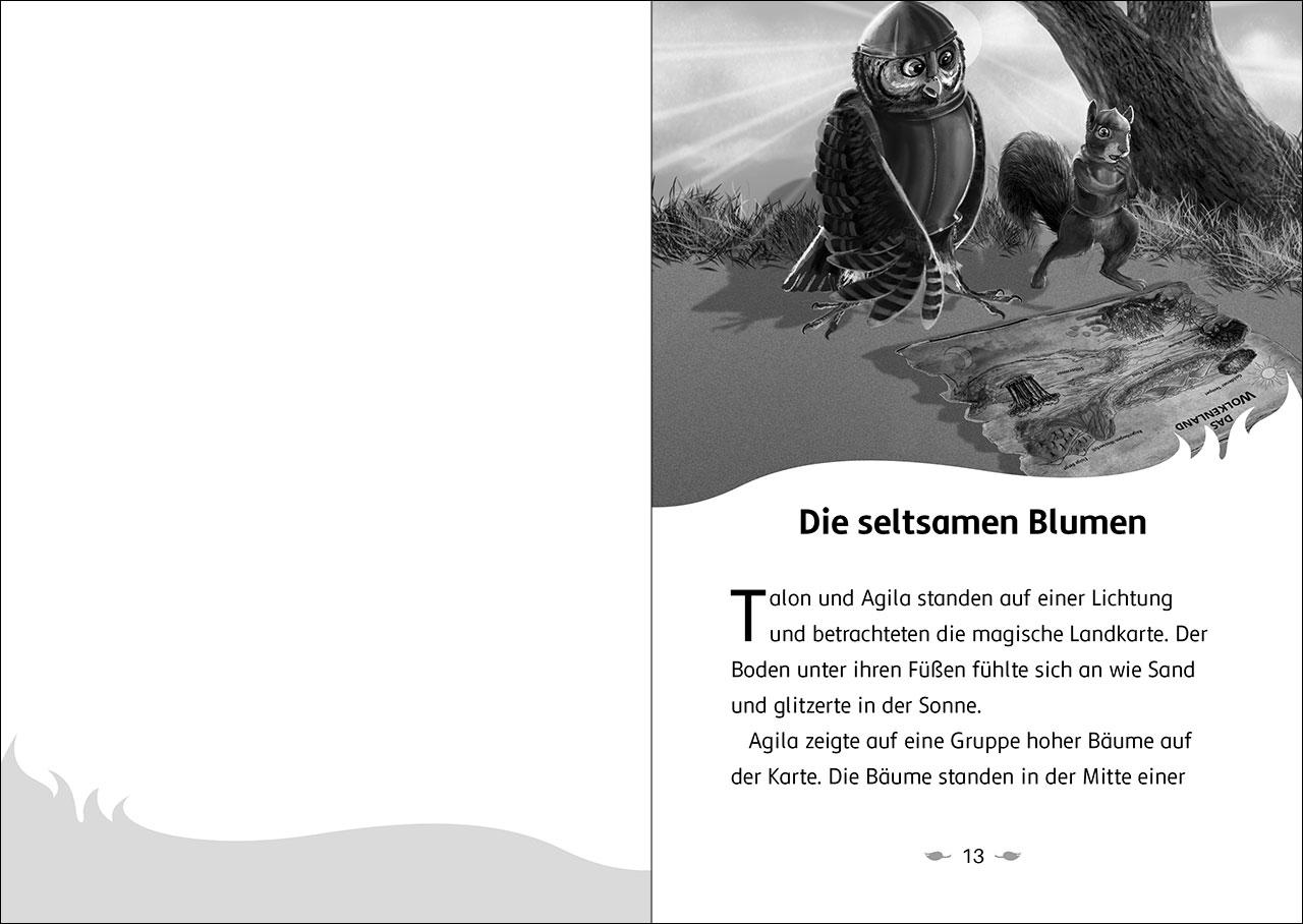 Beispielinhalt (Bild) Der letzte Feuerfalke und das Silbermoor (Band 8)