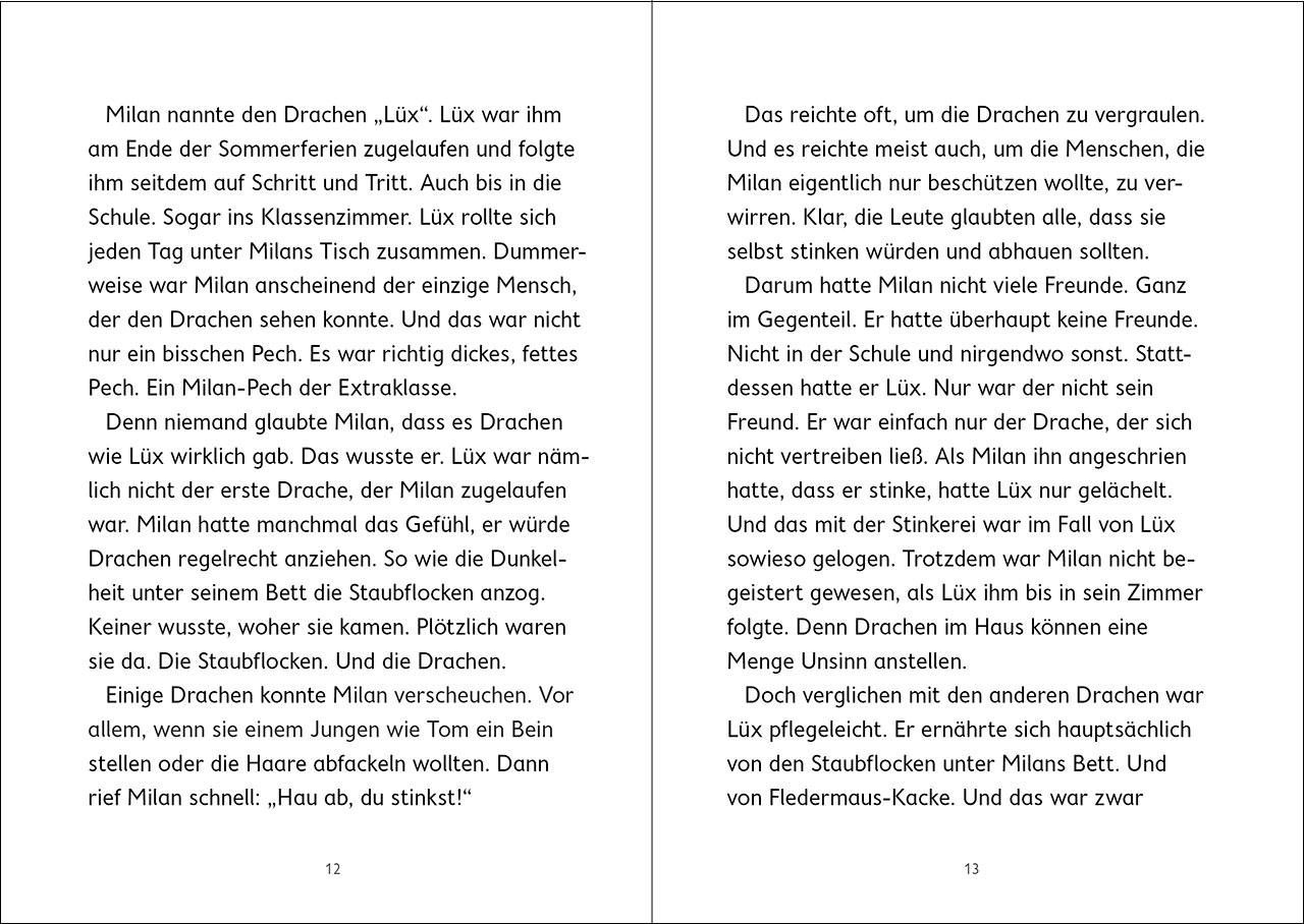 Beispielinhalt (Bild) Drachenschule Nebelsturm (Band 1) - Im Sturzflug ins Abenteuer