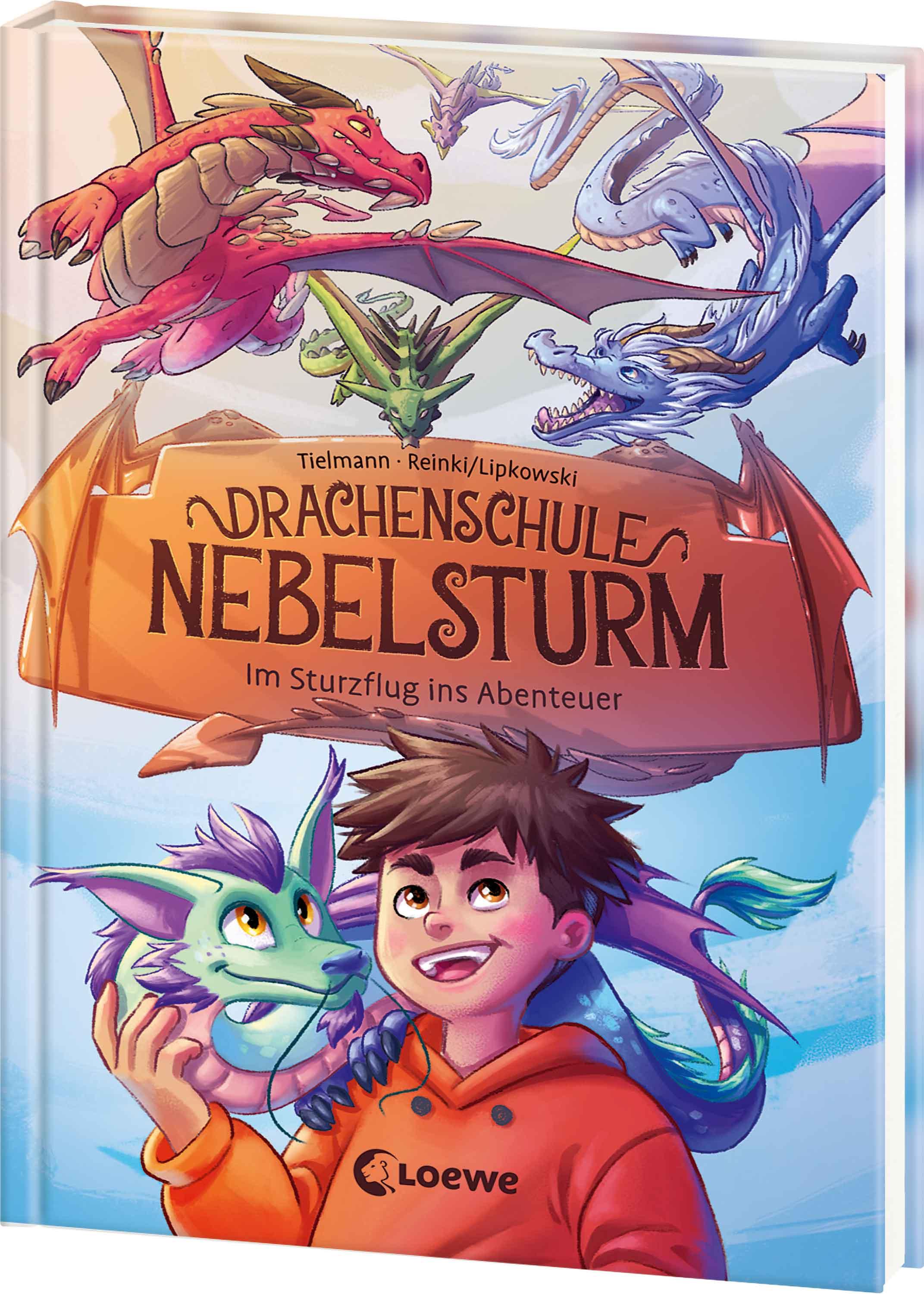 Vorderes Coverbild Drachenschule Nebelsturm (Band 1) - Im Sturzflug ins Abenteuer