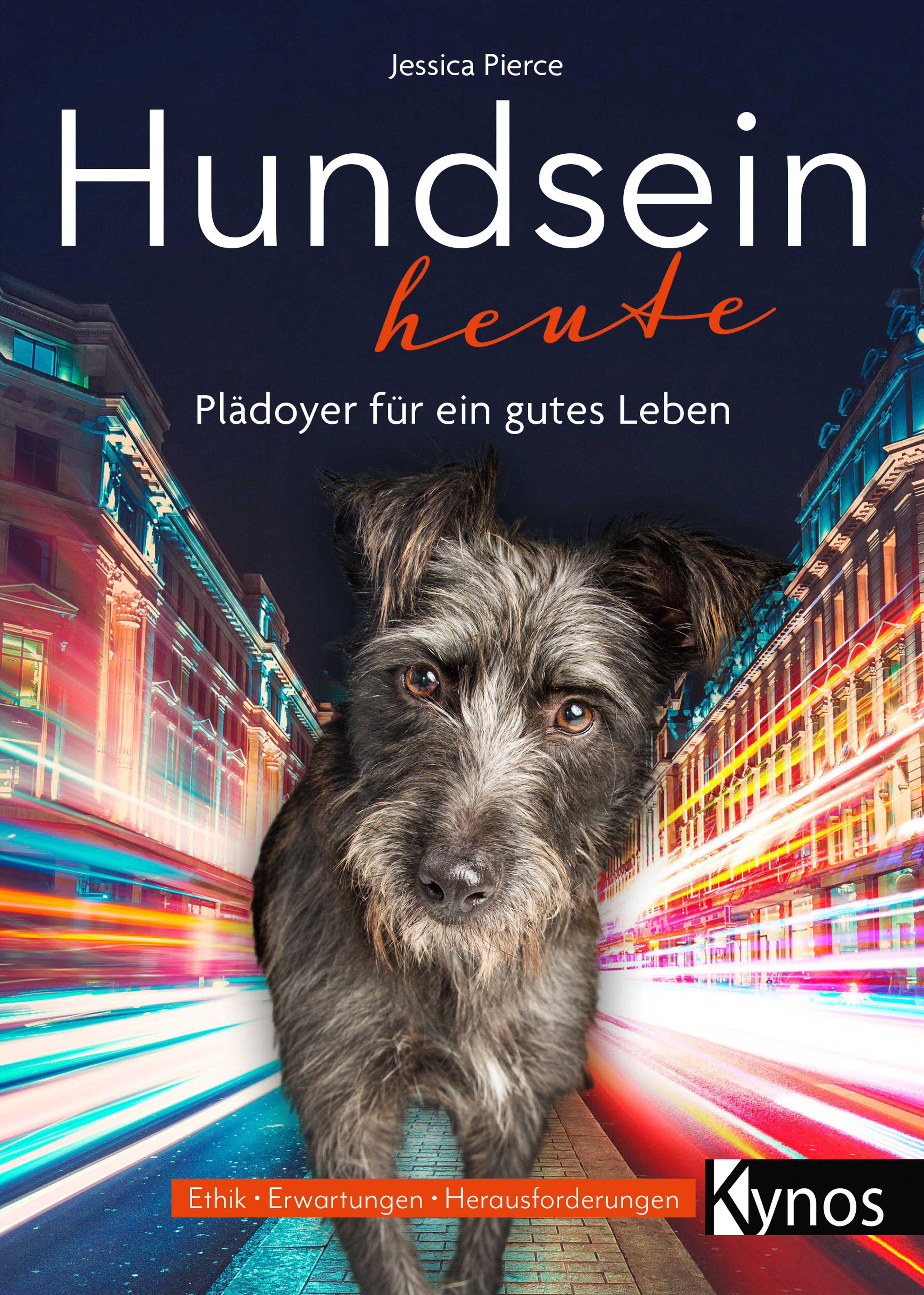 Vorderes Coverbild Hundsein heute