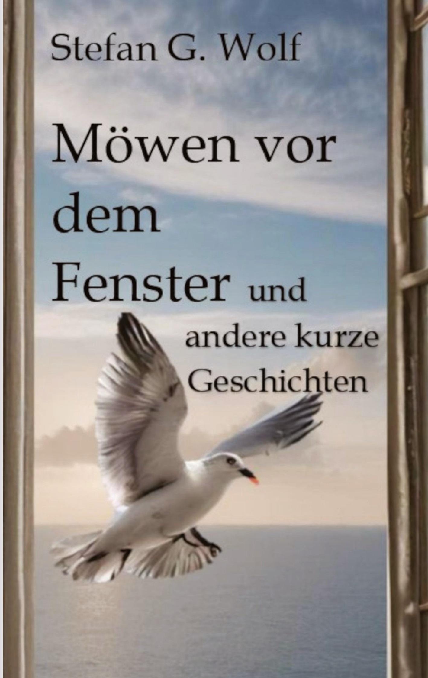 Vorderes Coverbild Möwen vor dem Fenster
