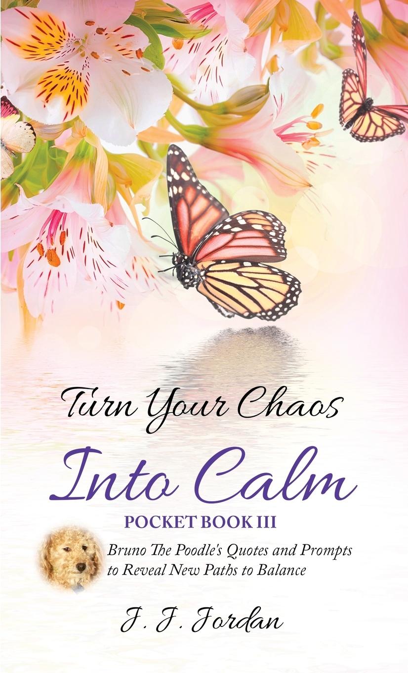 Vorderes Coverbild Turn Your Chaos Into Calm