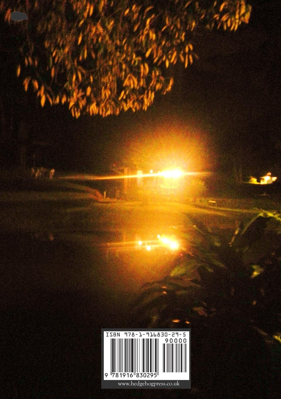 Rückseitencover Blue Remembered Star