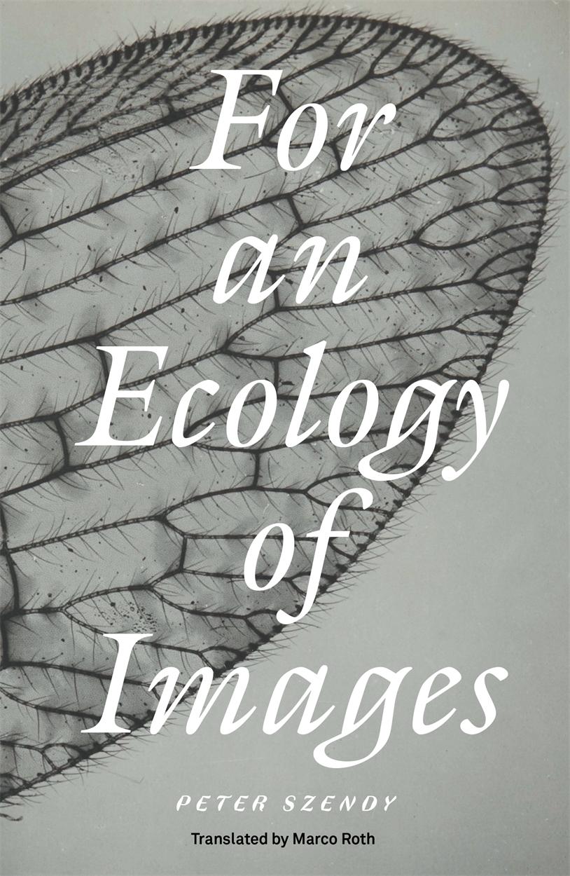 Vorderes Coverbild For an Ecology of Images