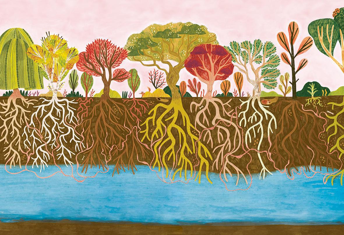 Beispielinhalt (Bild) Der kleine Baum und das Wood Wide Web