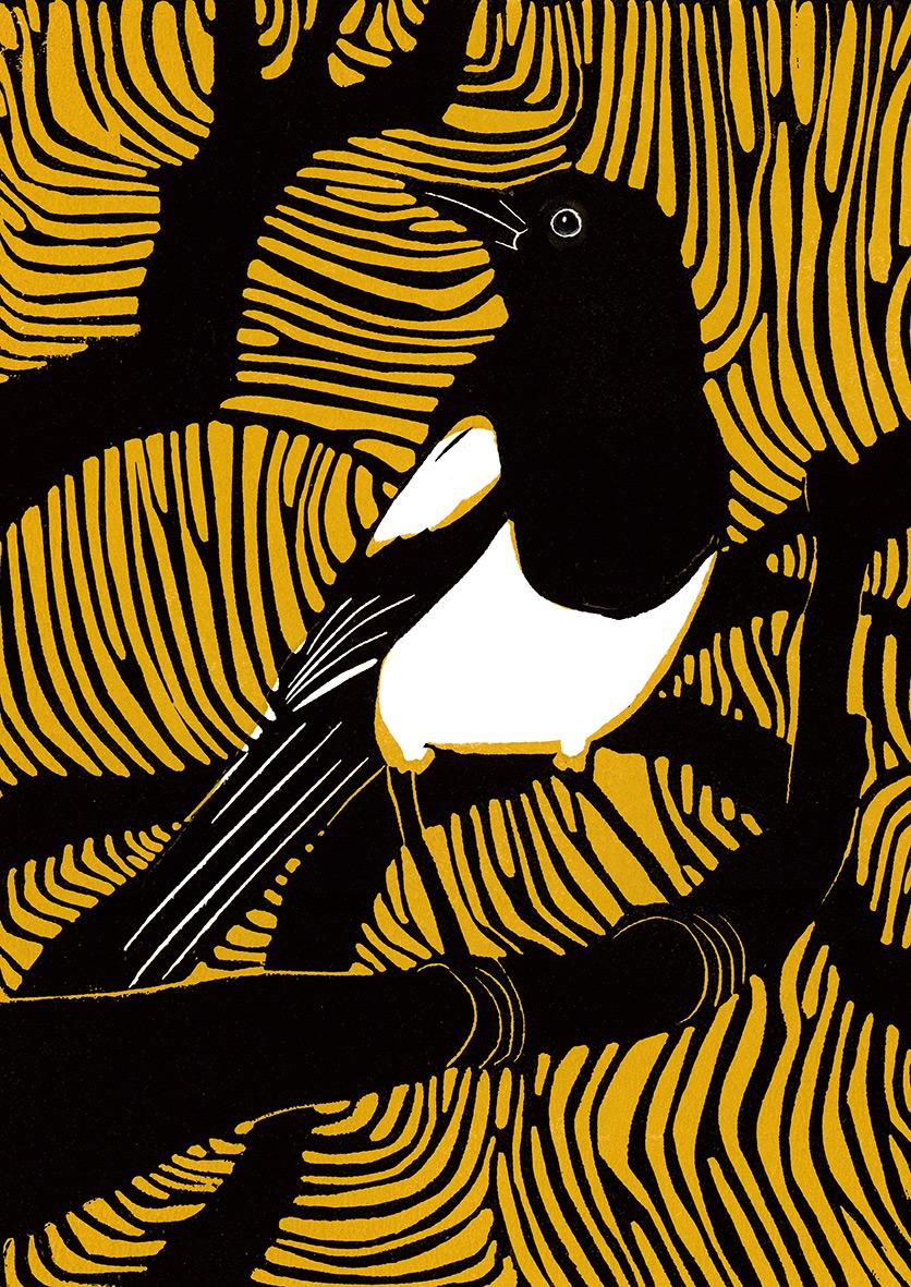 Beispielinhalt (Bild) Das geht nie vorbei - Vogelmotive Postkartenbuch