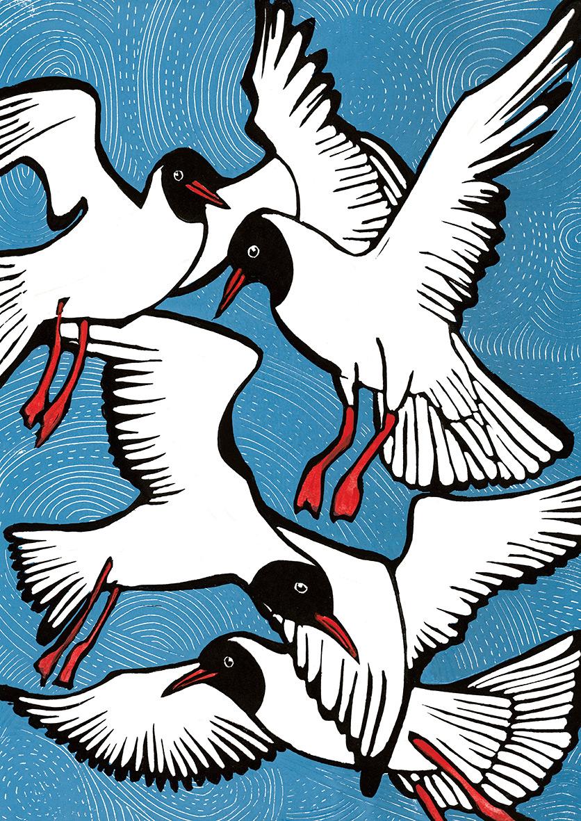 Beispielinhalt (Bild) Das geht nie vorbei - Vogelmotive Postkartenbuch