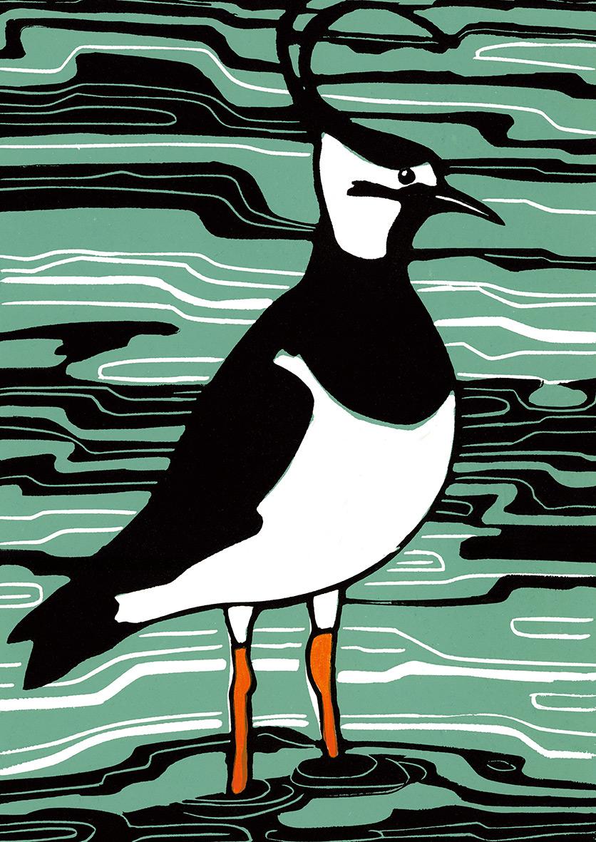 Beispielinhalt (Bild) Das geht nie vorbei - Vogelmotive Postkartenbuch