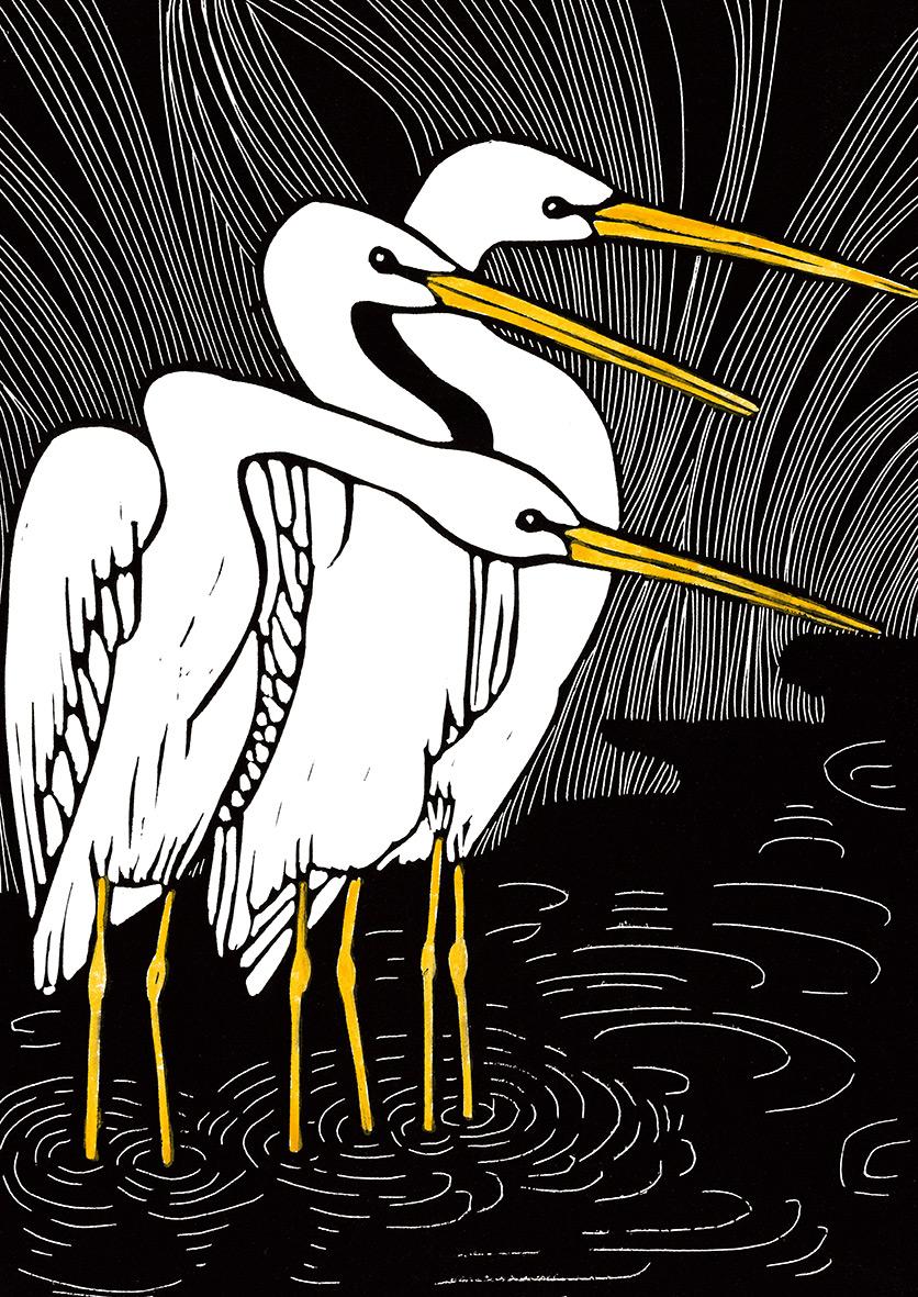 Beispielinhalt (Bild) Das geht nie vorbei - Vogelmotive Postkartenbuch