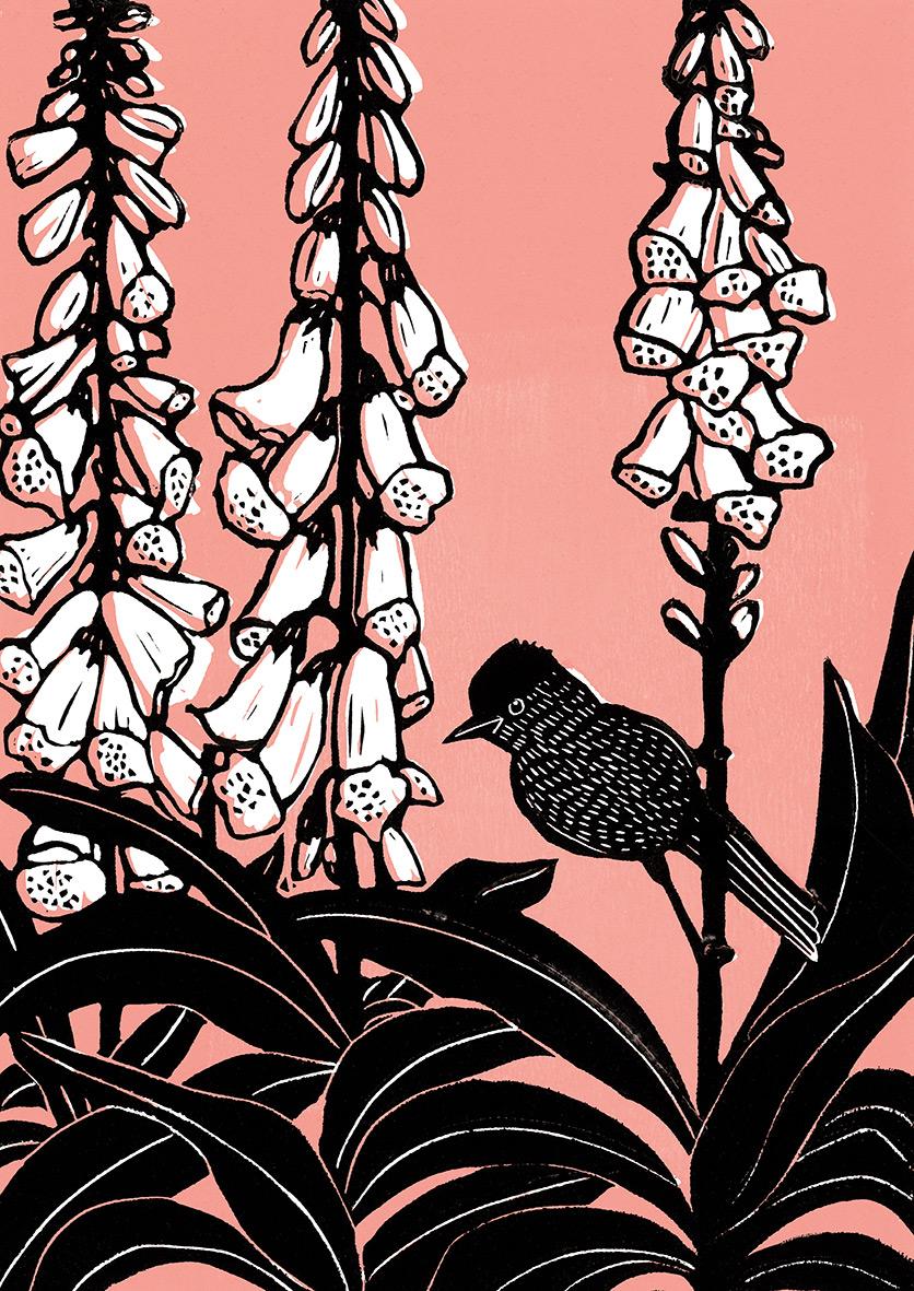 Beispielinhalt (Bild) Das geht nie vorbei - Vogelmotive Postkartenbuch