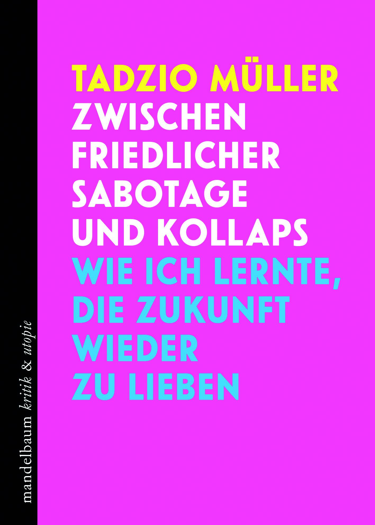 Vorderes Coverbild Zwischen friedlicher Sabotage und Kollaps