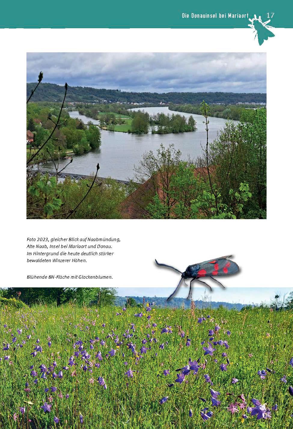 Beispielinhalt (Bild) Das Märchen von der Donauinsel bei Mariaort
