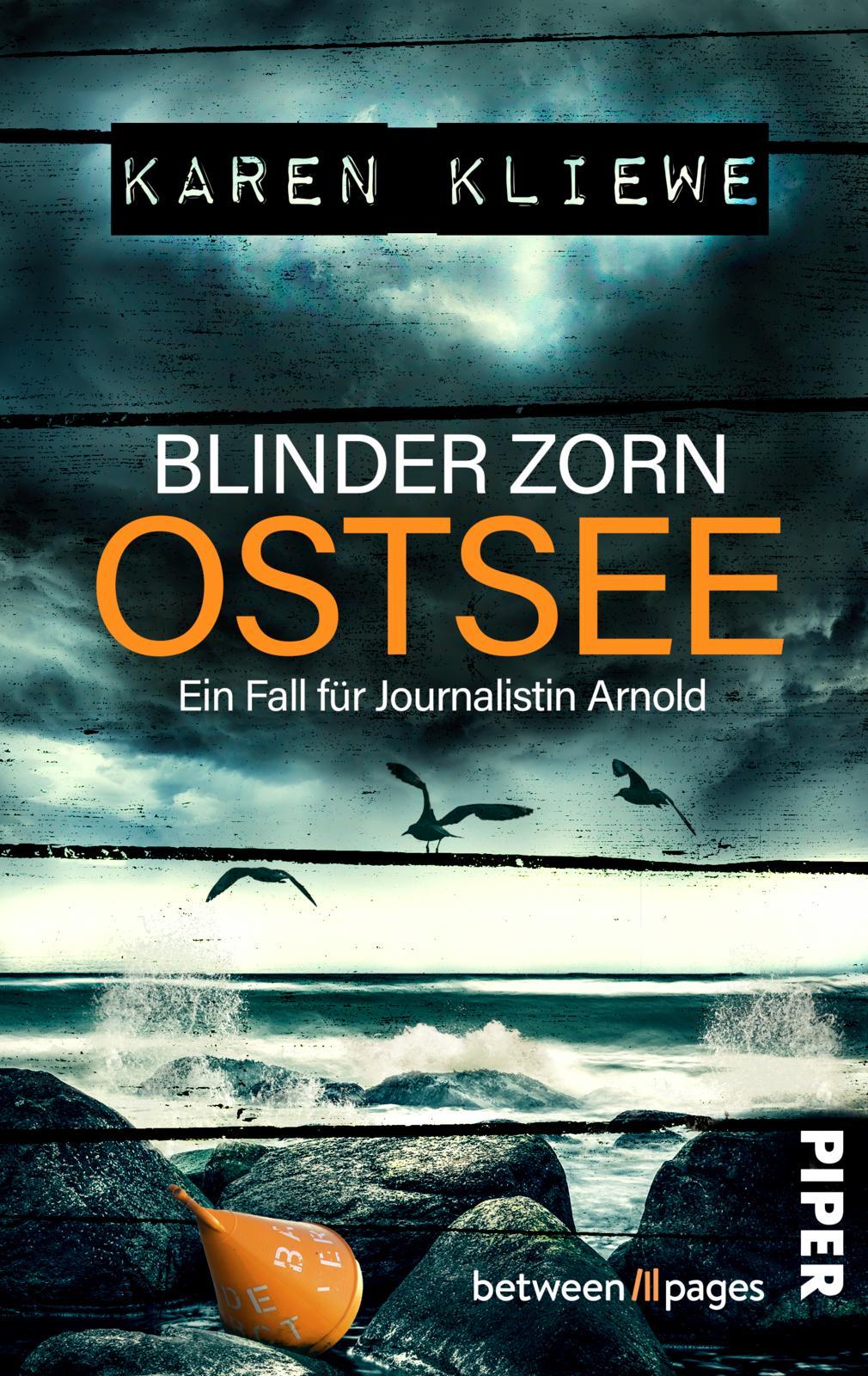 Vorderes Coverbild Blinder Zorn: Ostsee