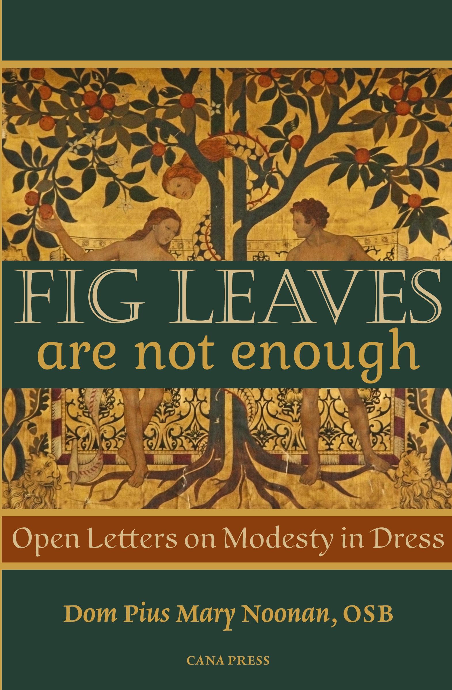 Vorderes Coverbild Fig Leaves Are Not Enough
