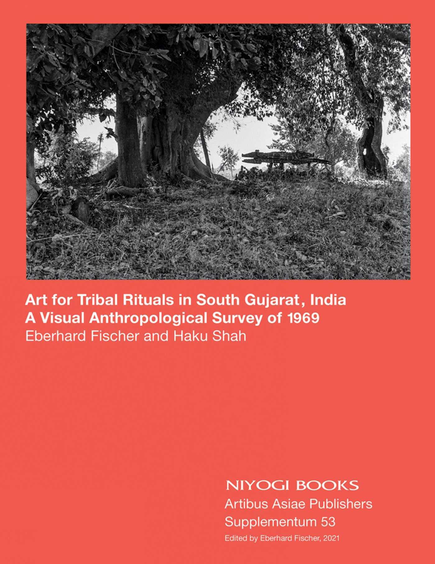 Vorderes Coverbild Art for Tribal Rituals in South Gujarat, India
