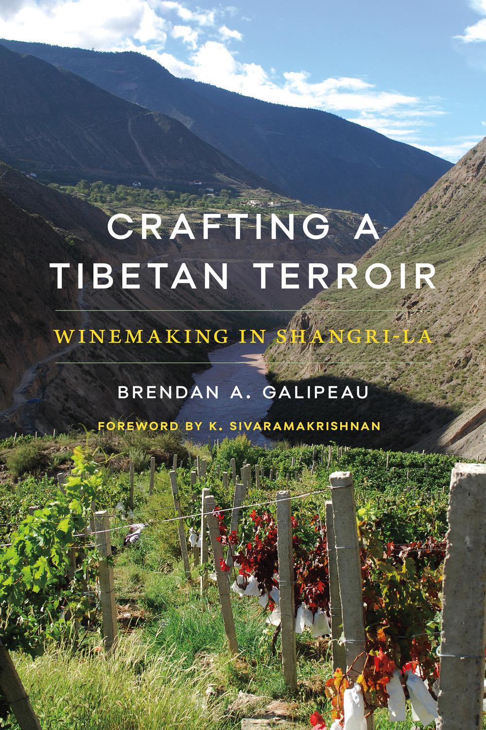 Vorderes Coverbild Crafting a Tibetan Terroir