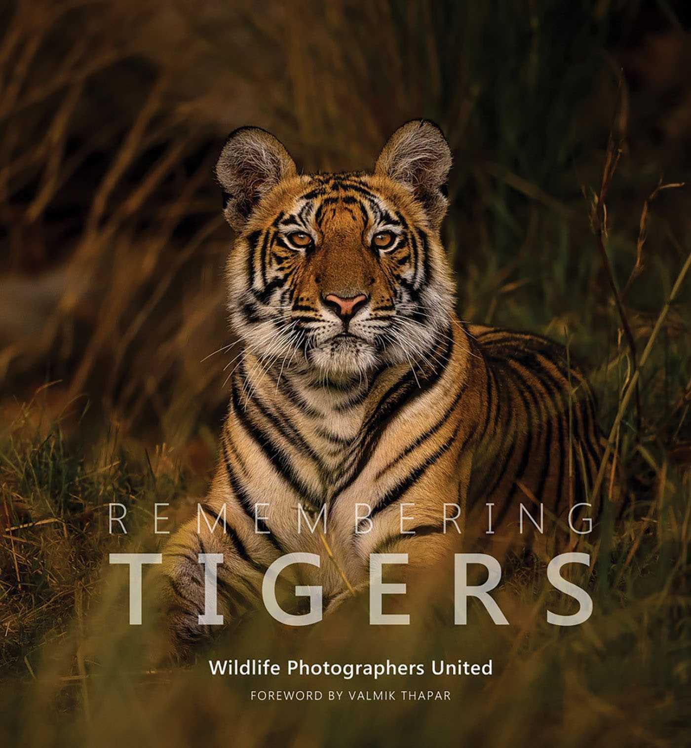 Vorderes Coverbild Remembering Tigers