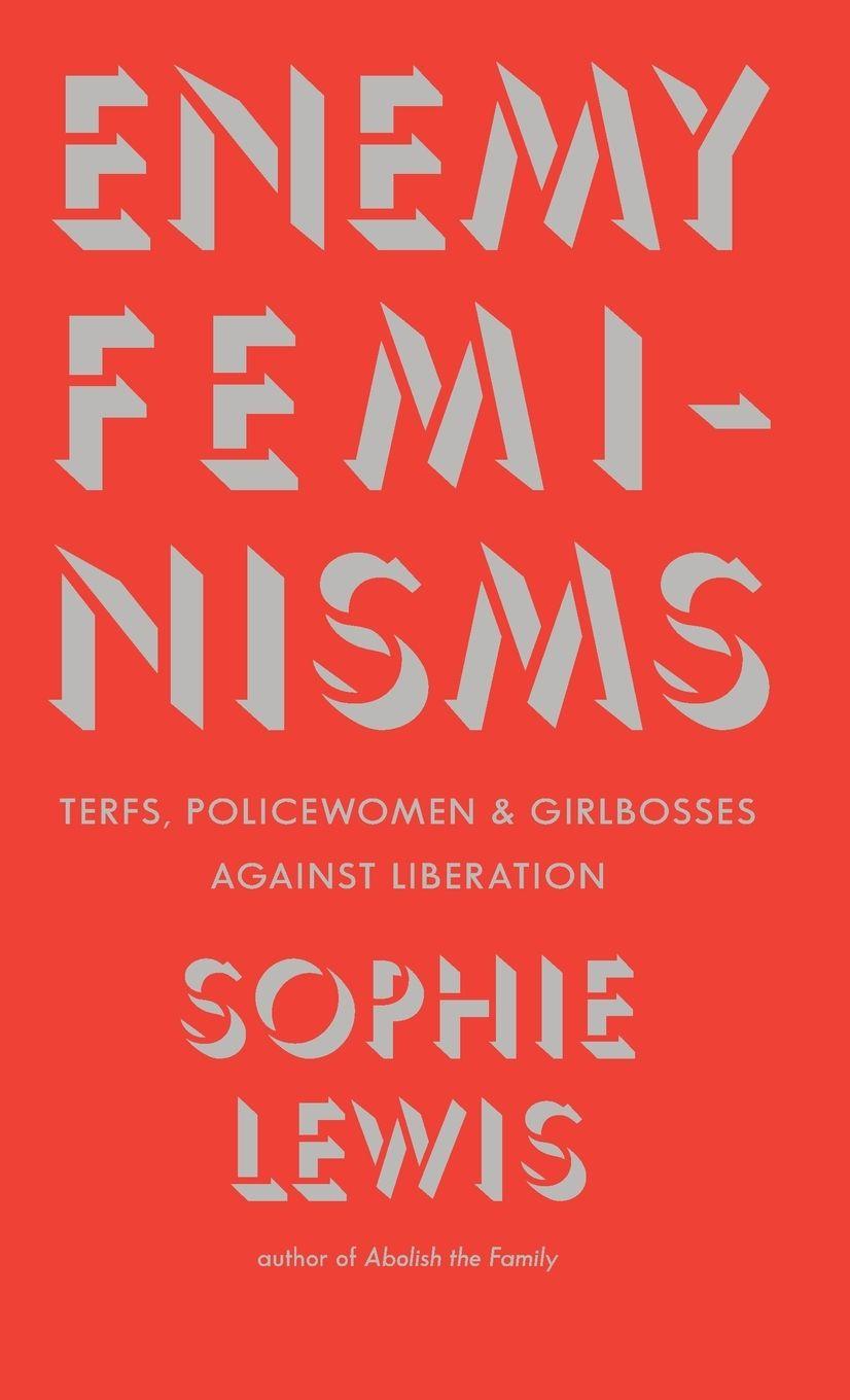 Vorderes Coverbild Enemy Feminisms