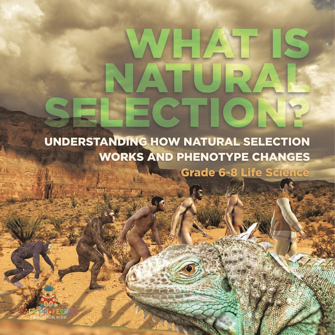 Vorderes Coverbild What is Natural Selection? Understanding How Natural Selection Works and Phenotype Changes Grade 6-8 Life Science