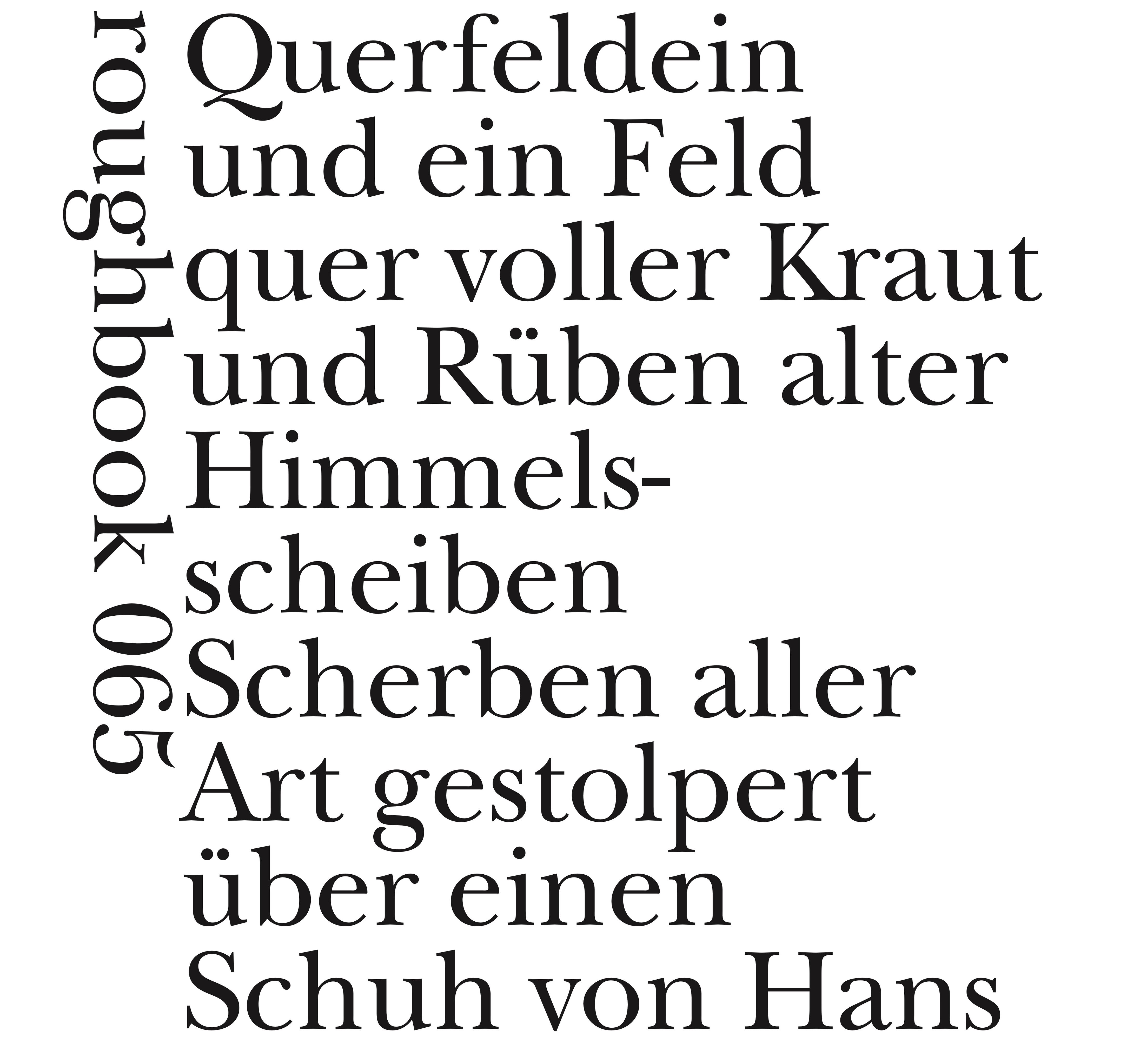 Vorderes Coverbild Gegengewichtshebewerk