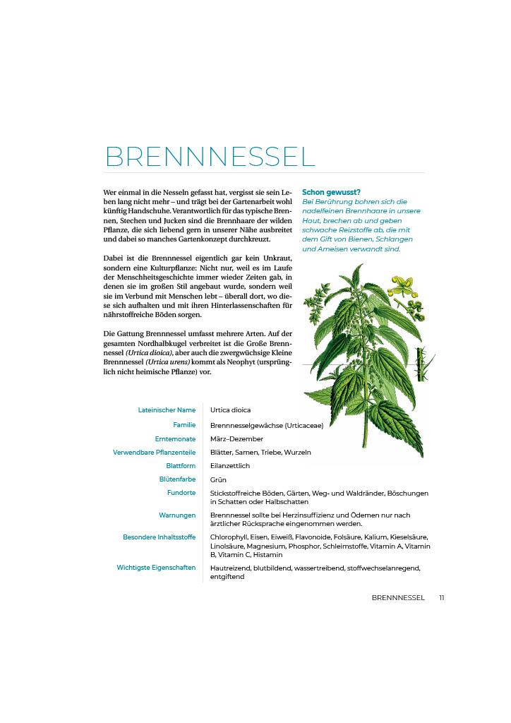 Beispielinhalt (Bild) Geliebtes Unkraut
