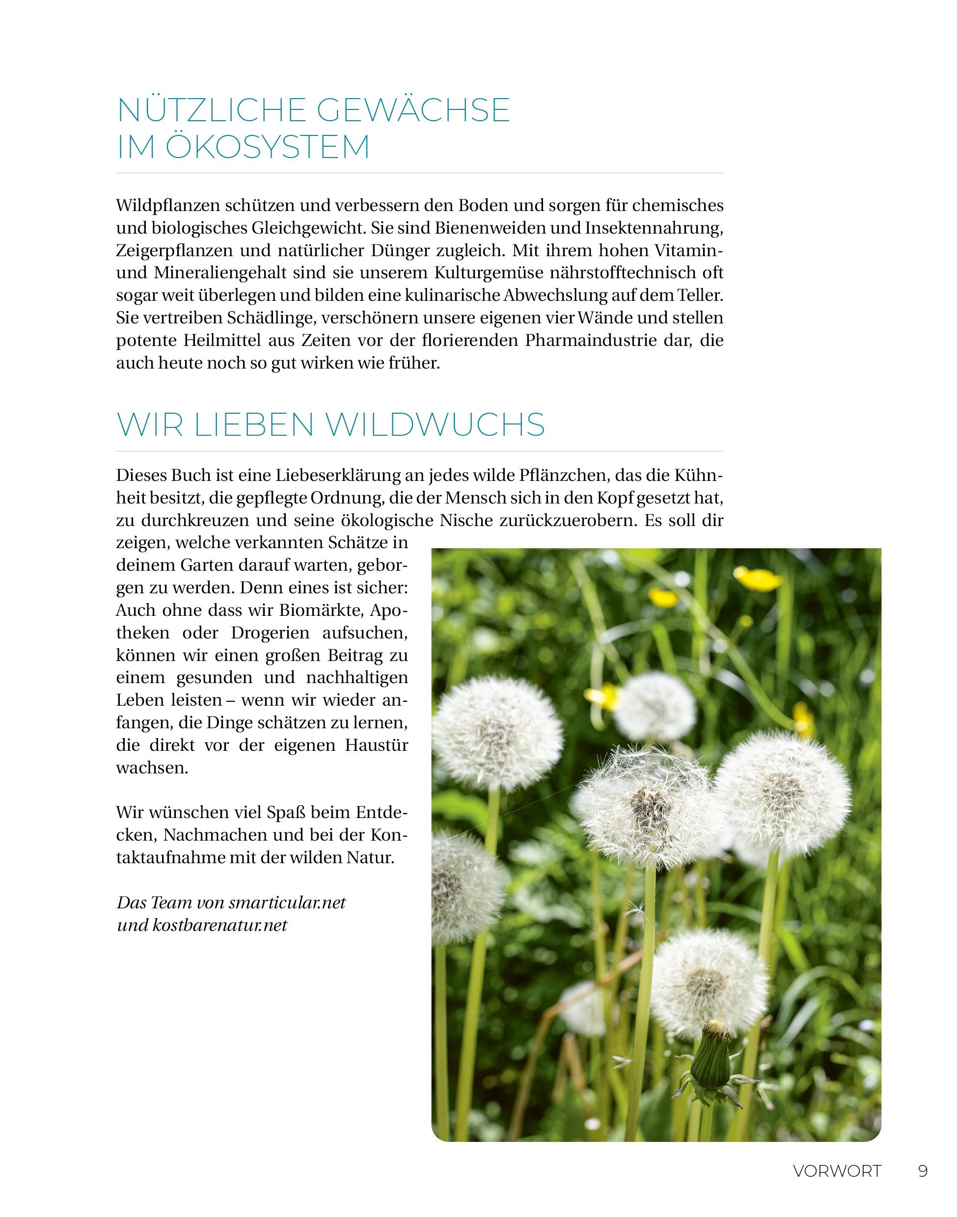 Beispielinhalt (Bild) Geliebtes Unkraut