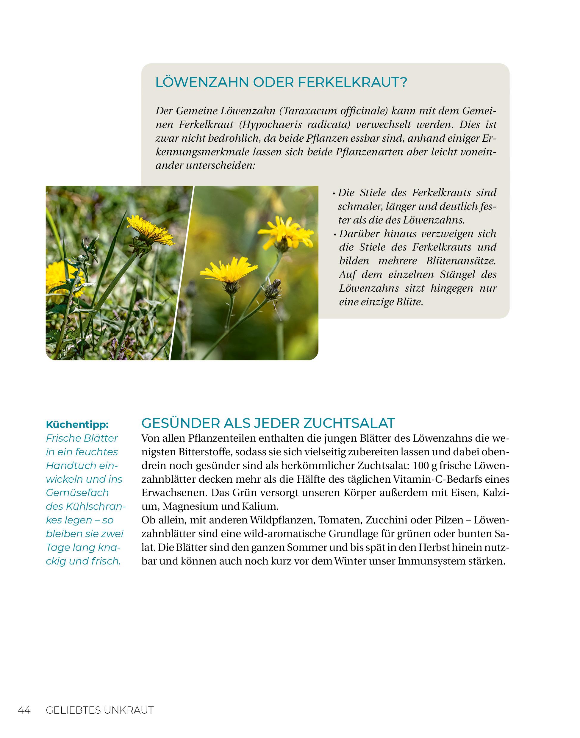 Beispielinhalt (Bild) Geliebtes Unkraut