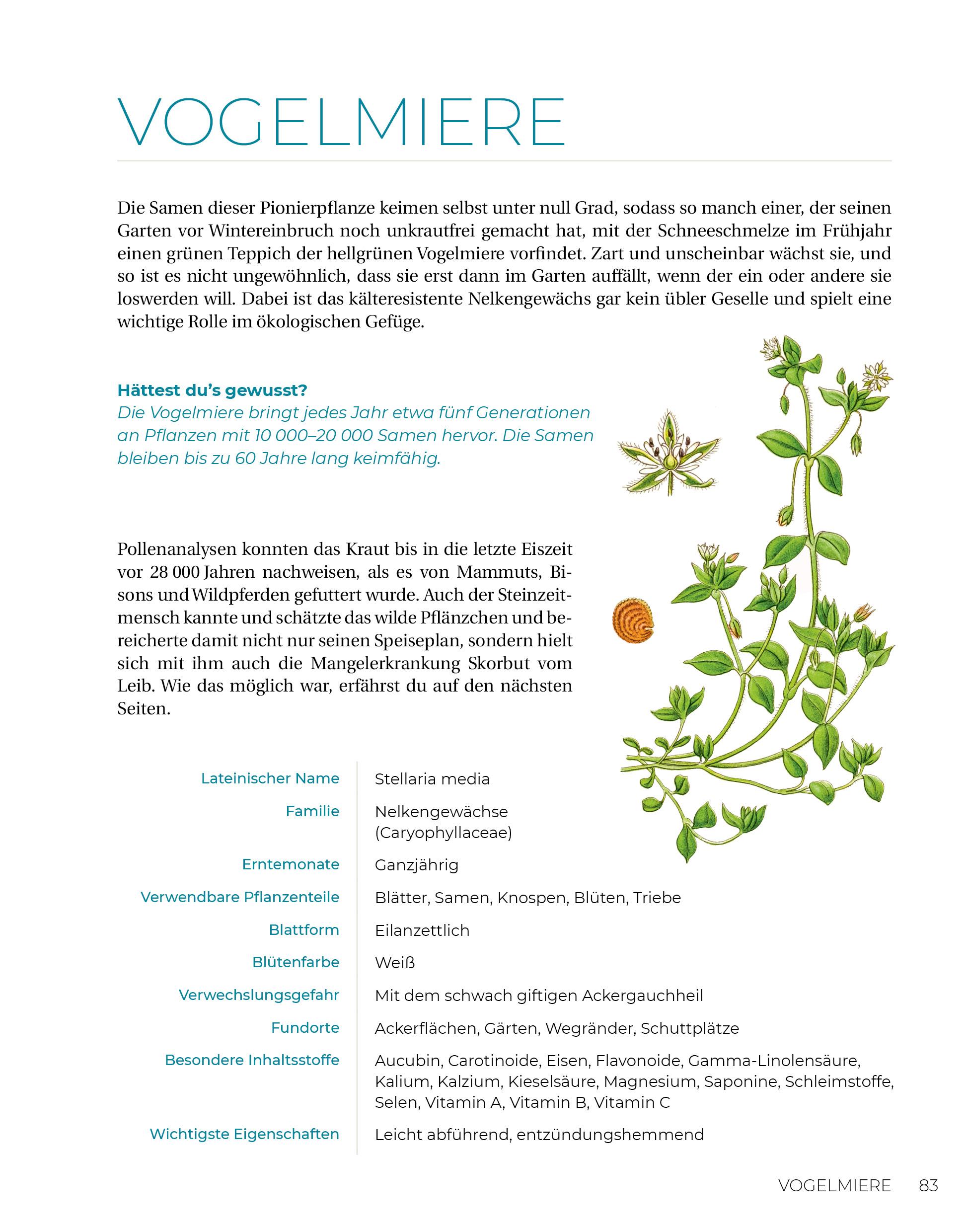 Beispielinhalt (Bild) Geliebtes Unkraut