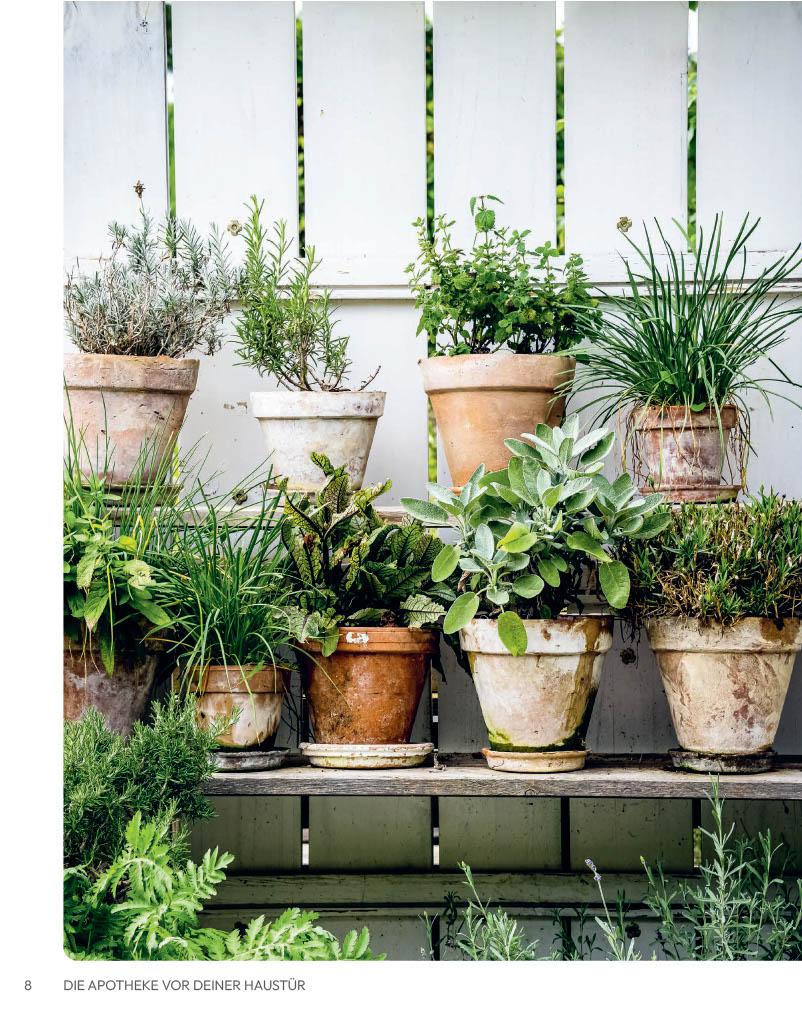 Beispielinhalt (Bild) Die Apotheke vor deiner Haustür