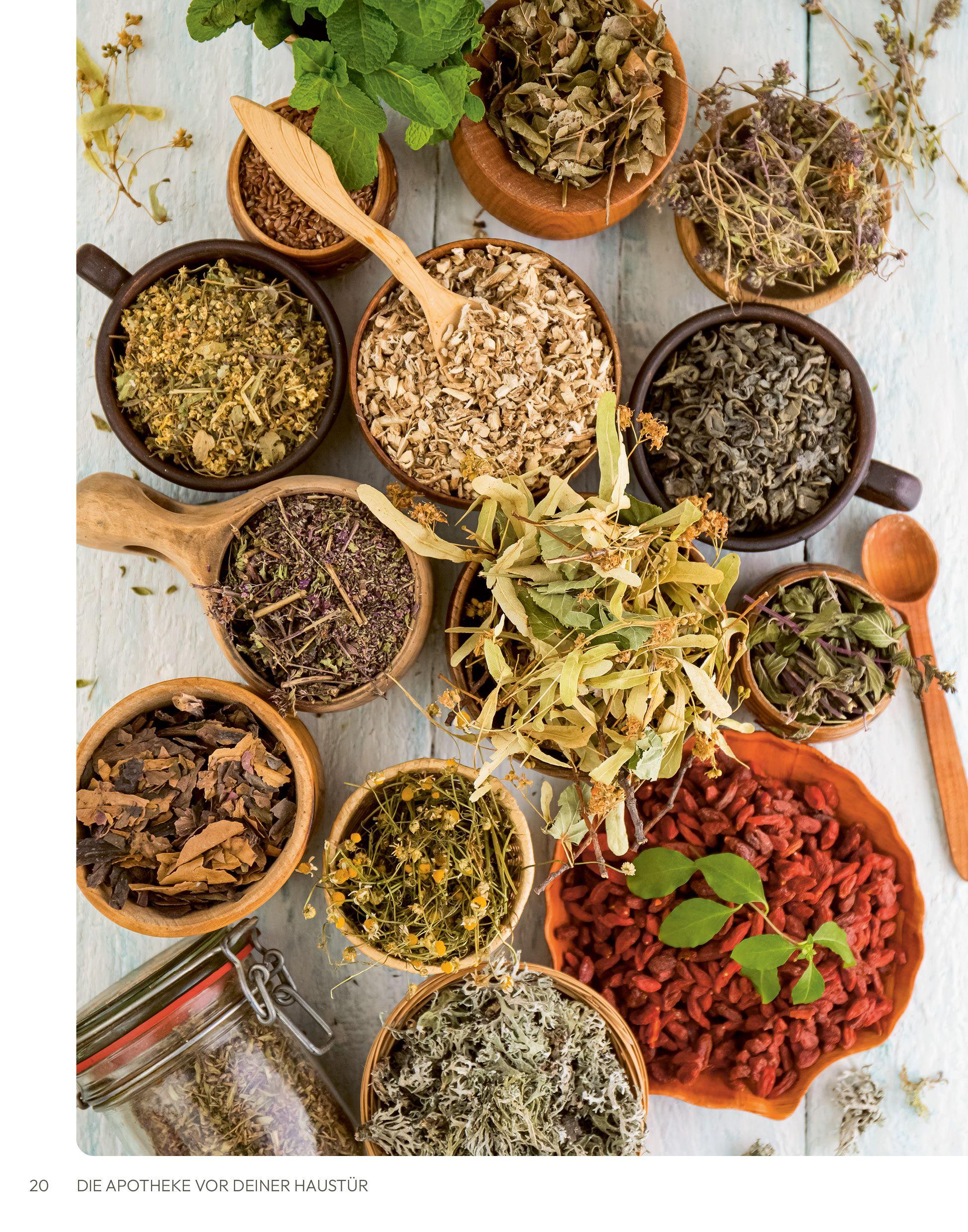 Beispielinhalt (Bild) Die Apotheke vor deiner Haustür