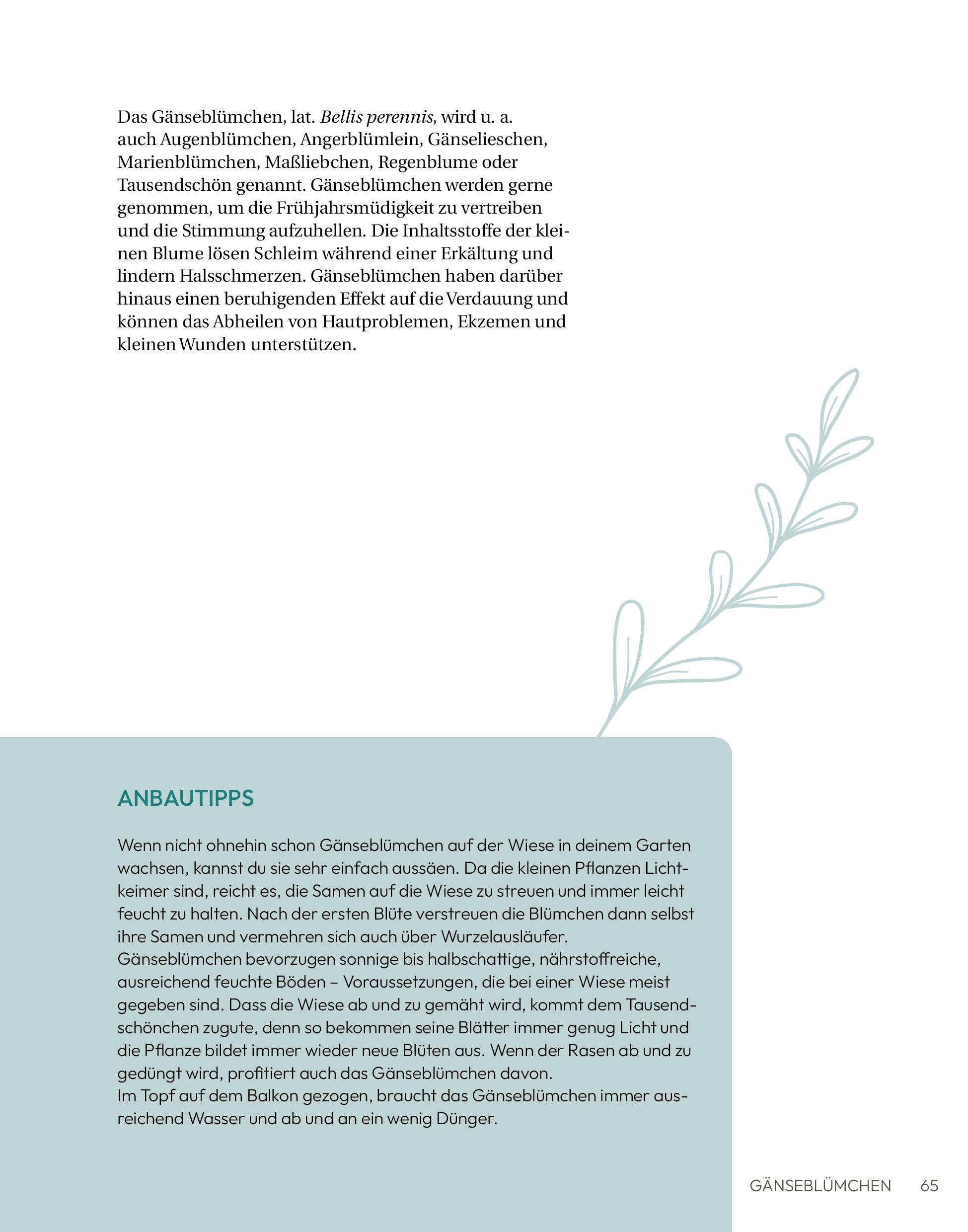 Beispielinhalt (Bild) Die Apotheke vor deiner Haustür